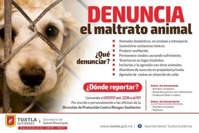 Cómo denunciar el maltrato animal