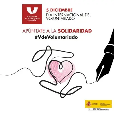 Derechos de los voluntarios en organizaciones españolas