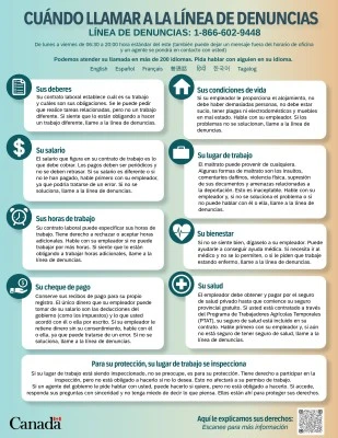 Qué hacer ante una denuncia por acoso psicológico