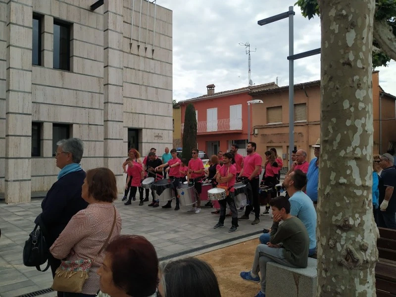 Assessoria Domingo