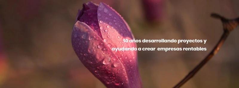 H4Soluciones