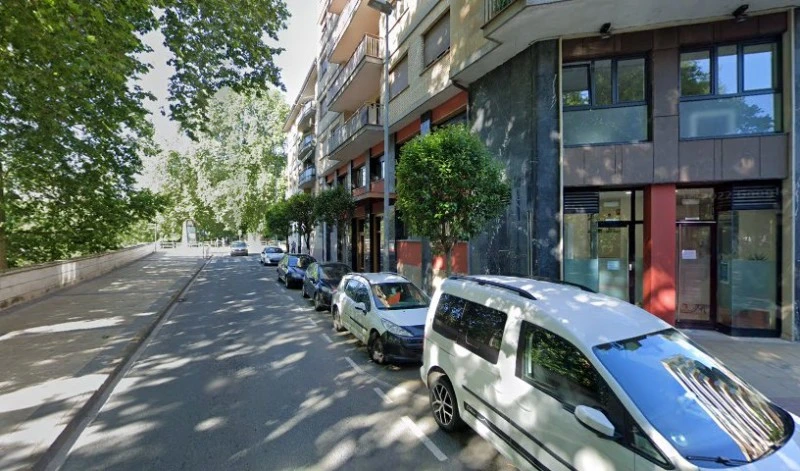 Ortiz de Elguea Barrena, J.