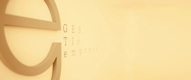 Gestió Empresa