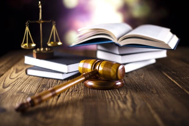 Abogado María Dolores Aguirre Suárez, Abogados en Durango