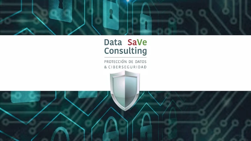 Data SaVe Consulting