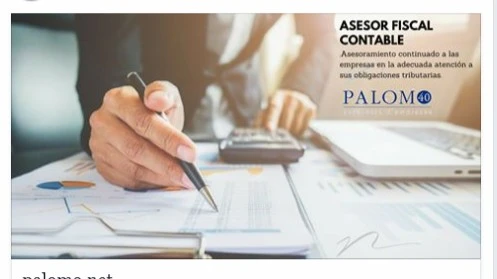 Palomo Consultors