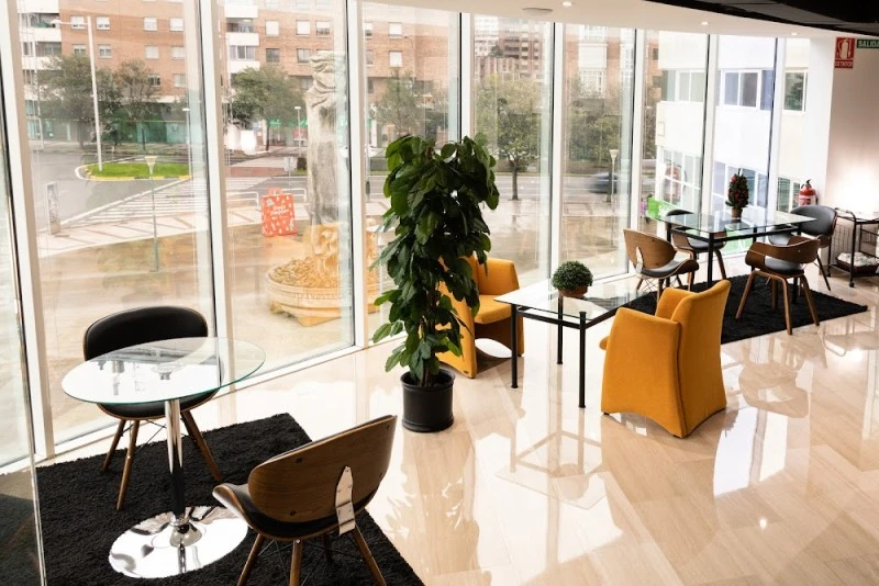 Visus y asociados