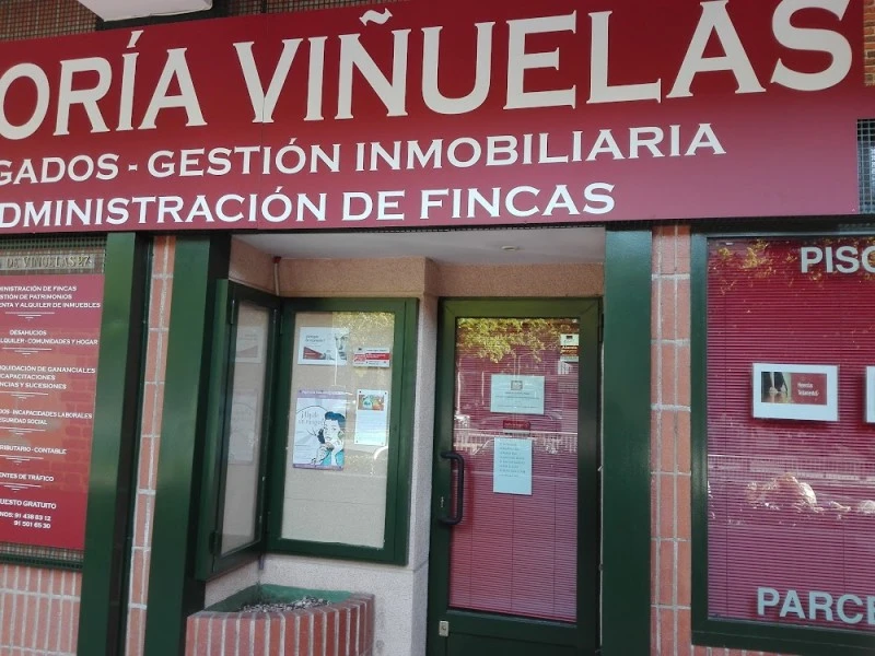 ASESORIA VIÑUELAS