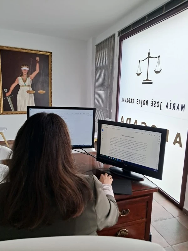 María José Rojas Cadaval Abogada