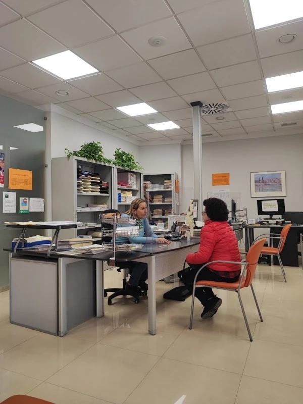 Asesoria de Empresas María José Cáceres Aguilera