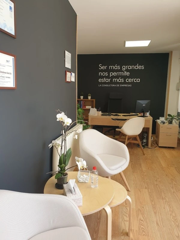 CE Consulting