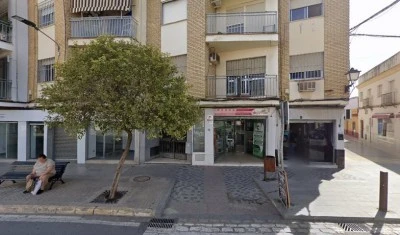 Amparo Milagros Luque Garrido