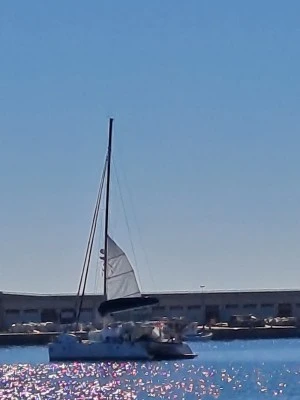 Aguilas