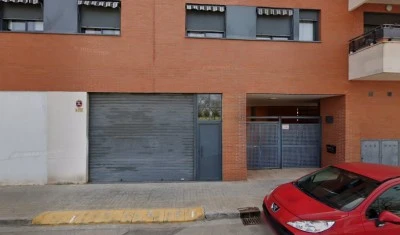 M. Pilar Mengual Pavía