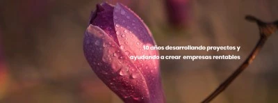 H4Soluciones