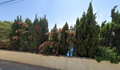 Macalayo