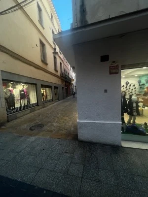 Rosa Ribas Vila