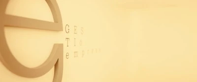 Gestió Empresa