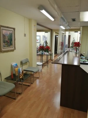 Piera Asesorias Y Servicios SL