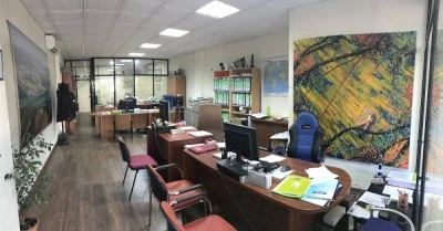 ASESORÍA PUNTASER