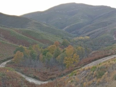 Asociación De Montes Vecinales De La Provincia De Orense